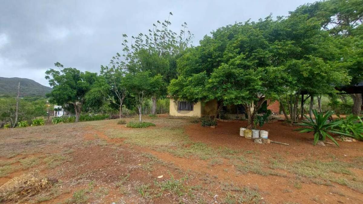 Terreno Agrícola con Casa ARICAGUA MARGARITA - 34