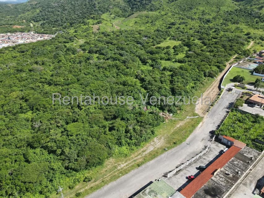Terreno (Comercial) en Venta en Municipio Peña, Yaracuy - 11
