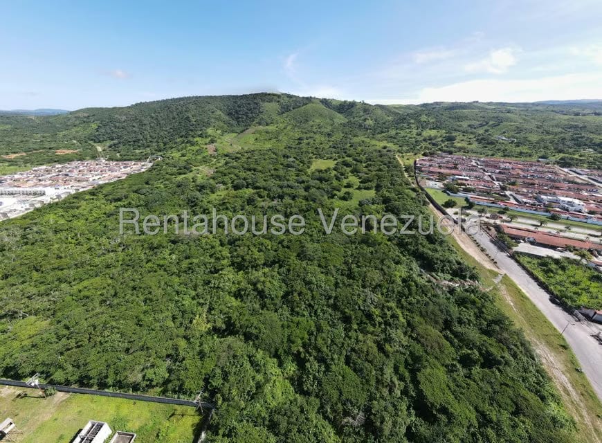 Terreno (Comercial) en Venta en Municipio Peña, Yaracuy - 6