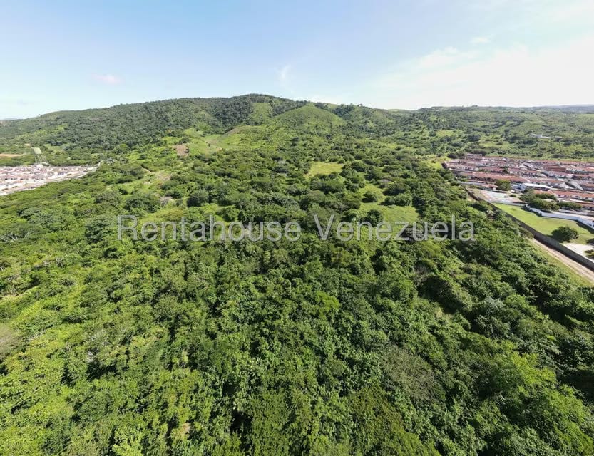 Terreno (Comercial) en Venta en Municipio Peña, Yaracuy - 7