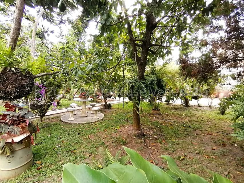 Casa (1 Nivel) en Venta en El Cercado, Lara - 30