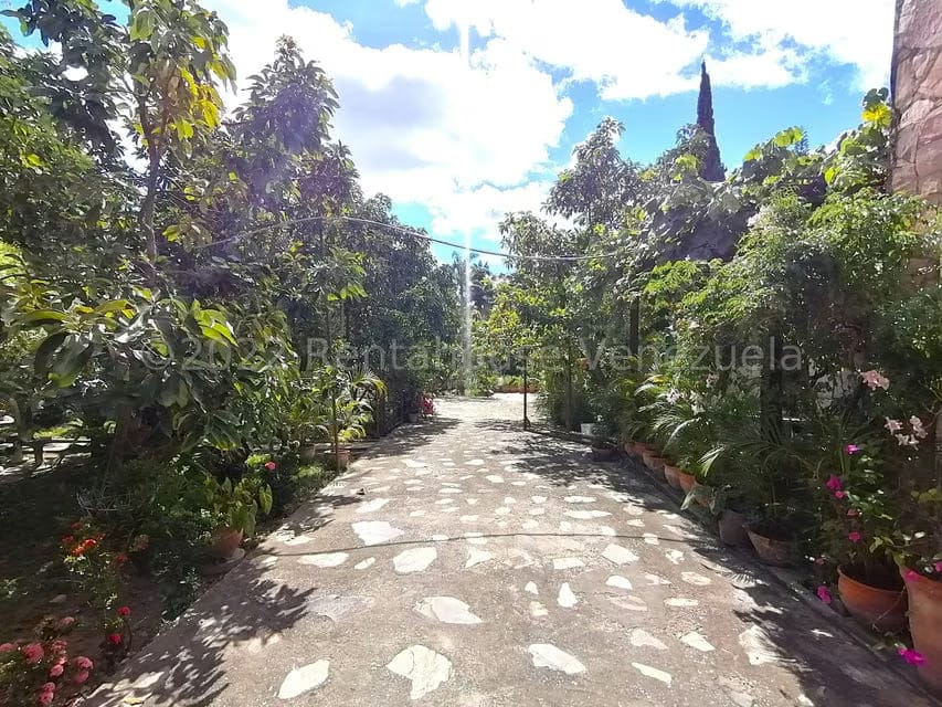 Casa (1 Nivel) en Venta en El Cercado, Lara - 52