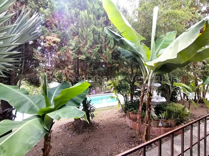 Casa (1 Nivel) en Venta en El Cercado, Lara - 53