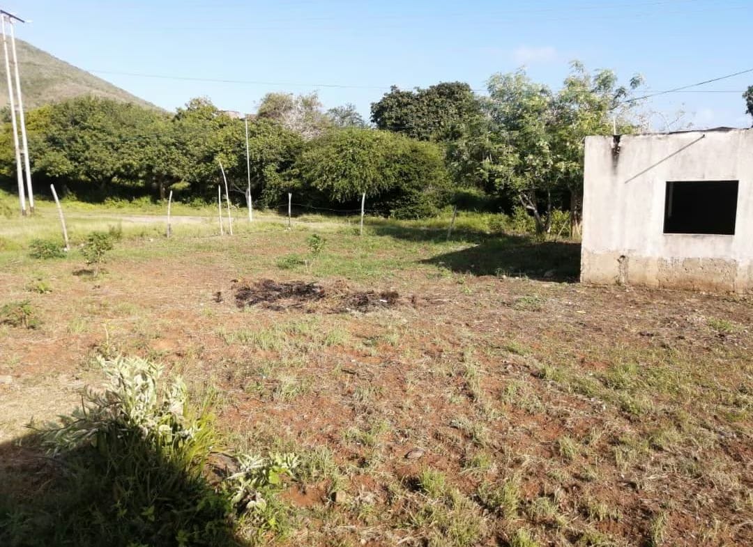 Terreno con Casas en Margarita - 7