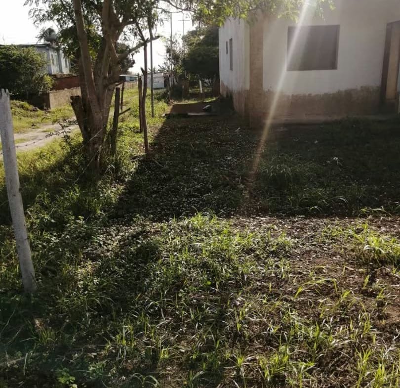 Terreno con Casas en Margarita - 8