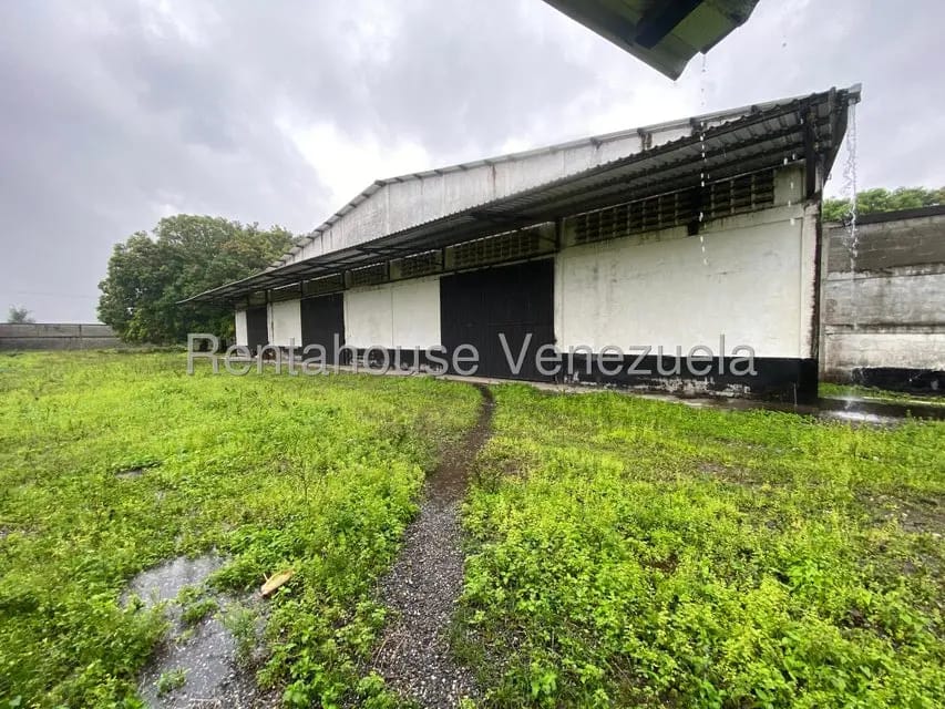 Comercial (Galpon - Deposito) en Venta en Piritu, Portuguesa - 11