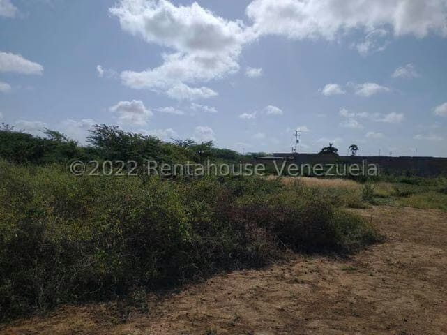 Terreno (Residencial) en Venta en Guanadito, Falcon - 4