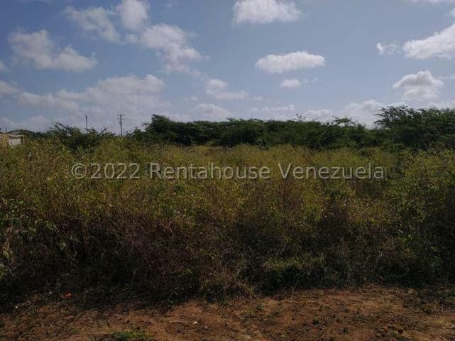 Terreno (Residencial) en Venta en Guanadito, Falcon - 5