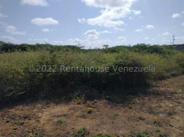 Terreno (Residencial) en Venta en Guanadito, Falcon - 7