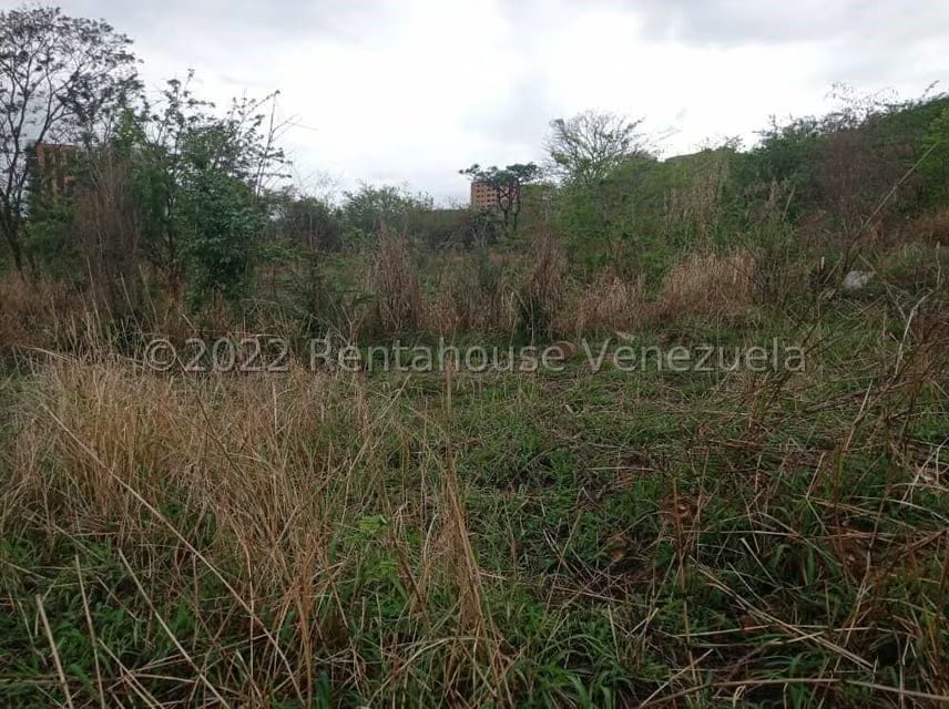 Terreno (Comercial) en Venta en Ciudad Jardin Manongo, Carabobo - 20