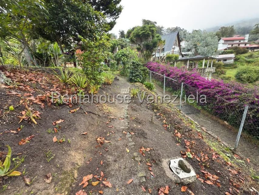Terreno (Comercial) en Venta en La Colonia Tovar, Aragua - 2