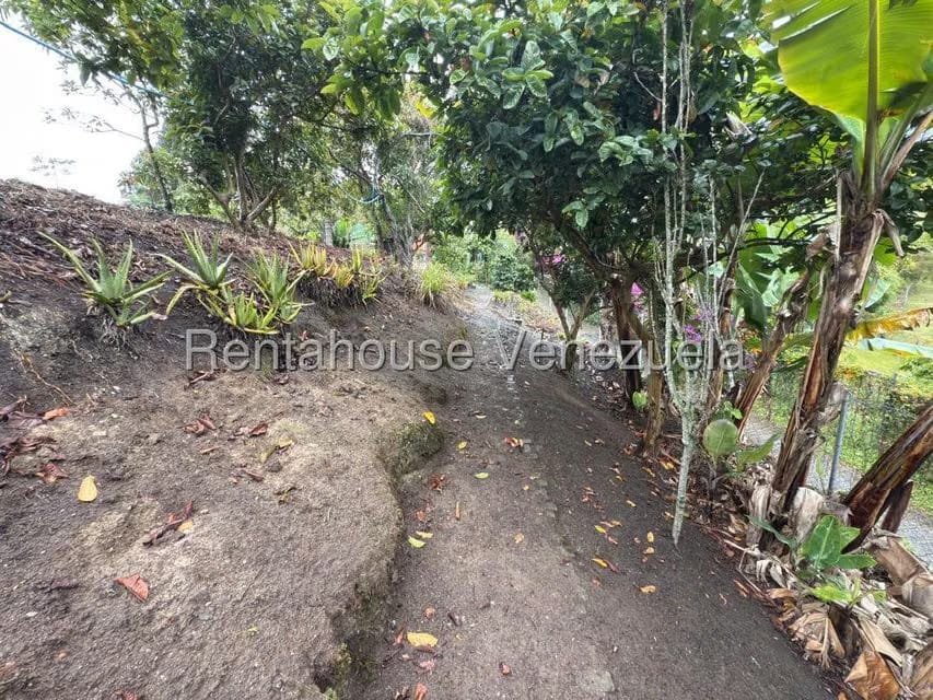 Terreno (Comercial) en Venta en La Colonia Tovar, Aragua - 12