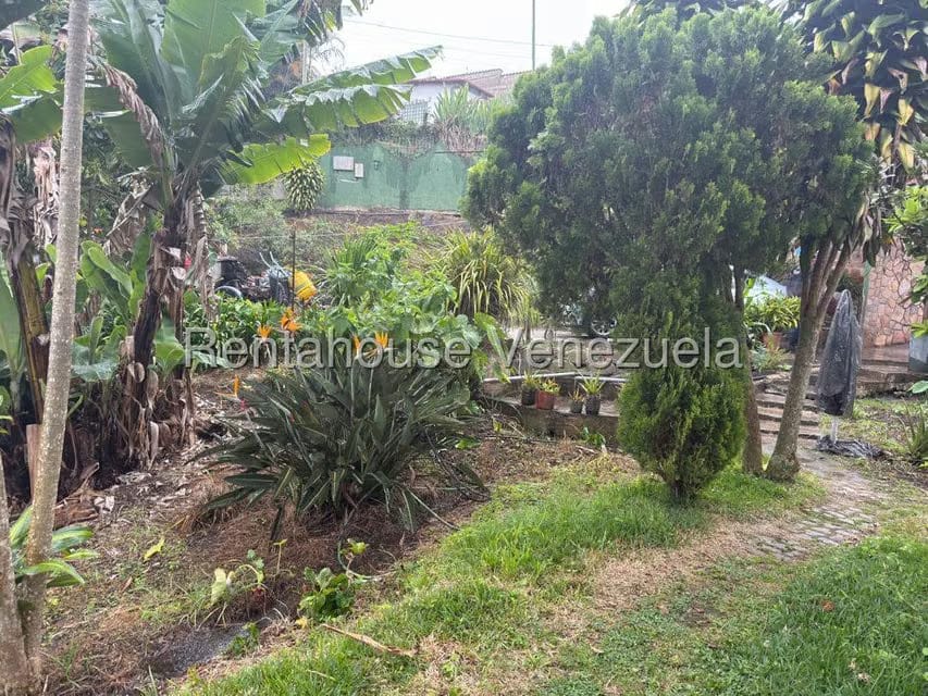 Terreno (Comercial) en Venta en La Colonia Tovar, Aragua - 3