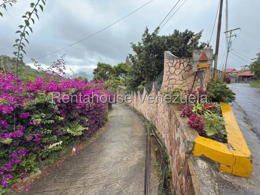 Terreno (Comercial) en Venta en La Colonia Tovar, Aragua - 4