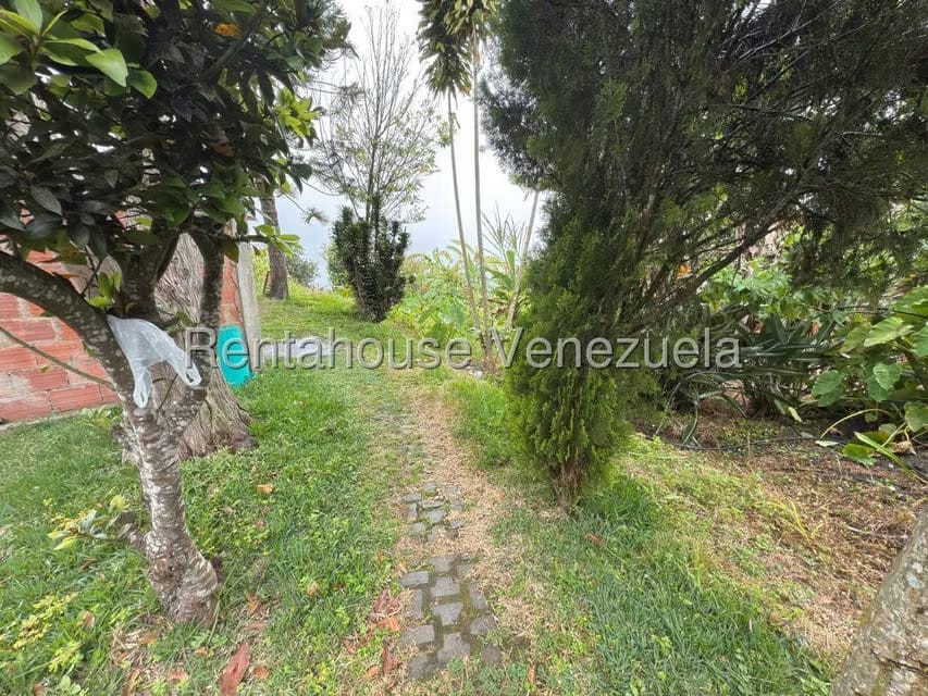 Terreno (Comercial) en Venta en La Colonia Tovar, Aragua - 5