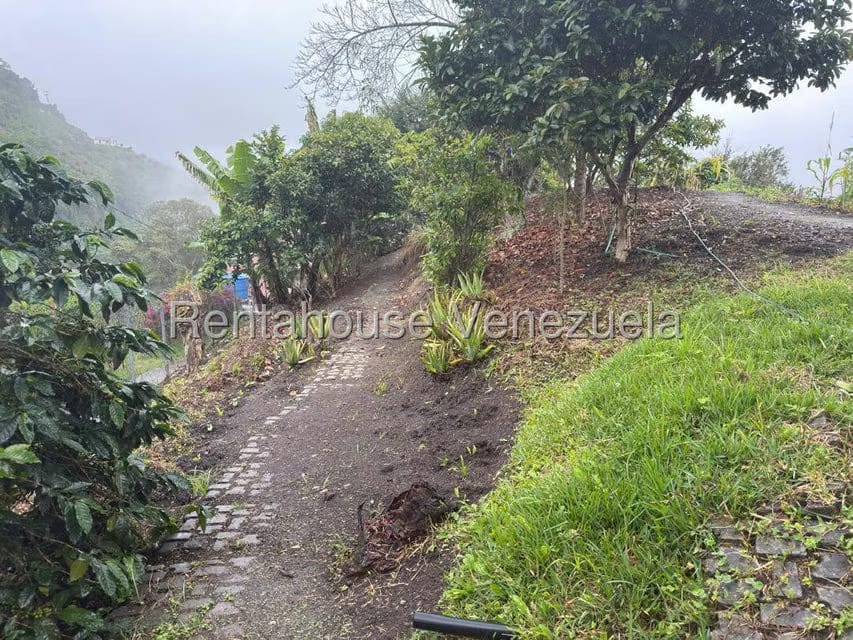 Terreno (Comercial) en Venta en La Colonia Tovar, Aragua - 7