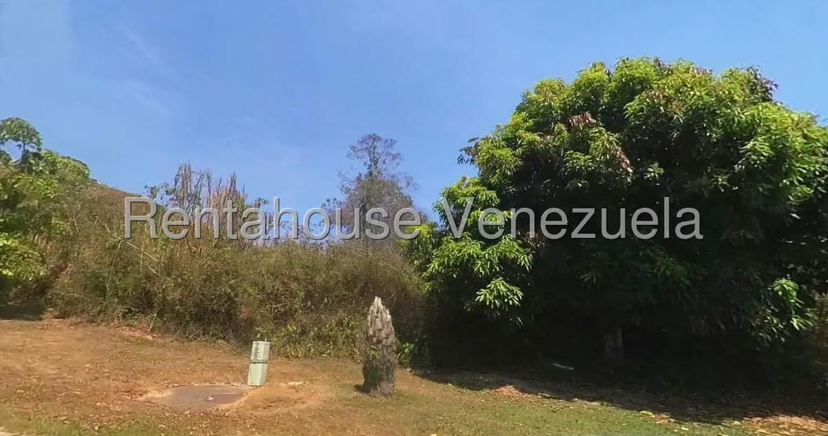 Terreno (Residencial) en Venta en Loma Linda, Distrito Metropolitano - 5