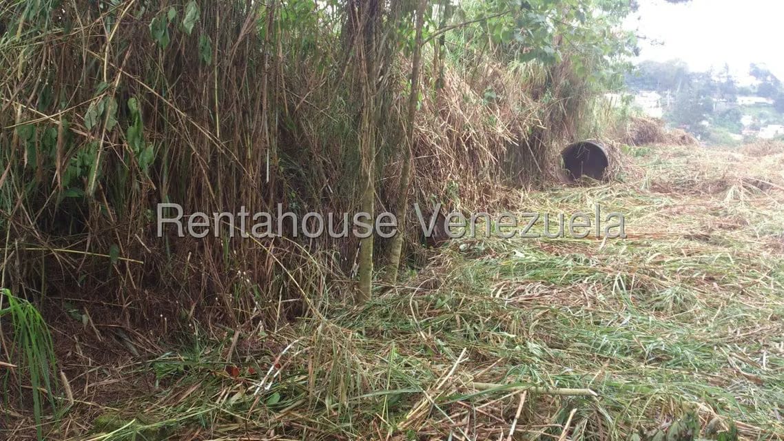 Terreno (Residencial) en Venta en Parque el Retiro, Miranda - 5
