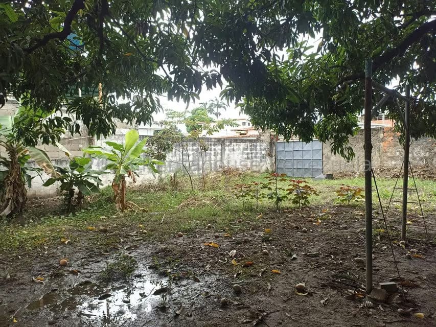 Terreno (Comercial) en Venta en La Coromoto, Aragua - 12