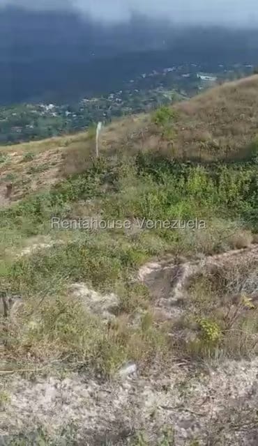 Terreno (Finca) en Venta en El Junko Country Club, Vargas - 4