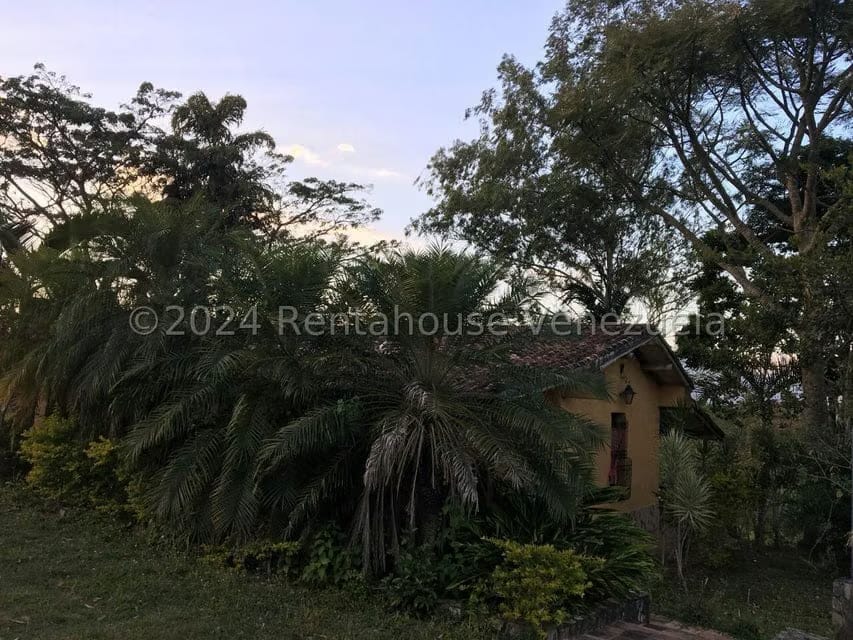 Casa (Casas de Campo) en Venta en Bejuma, Carabobo - 10