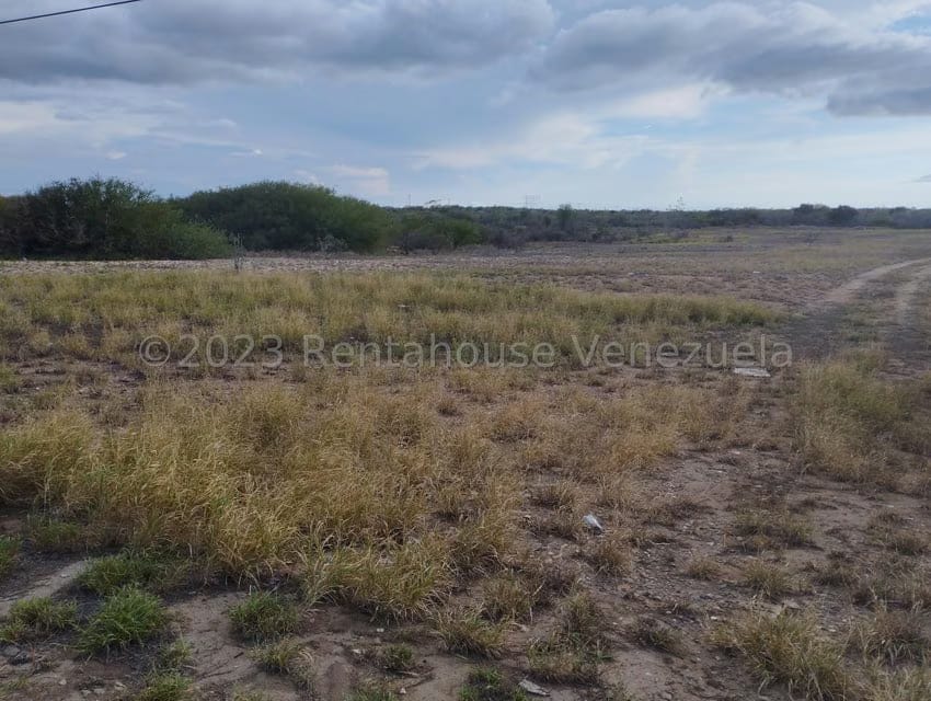 Terreno (Comercial) en Venta en Avenida Juan Bautista Arismendi, Nueva Esparta - 2