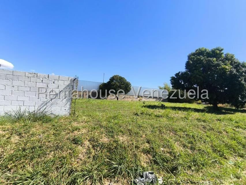 Terreno (Comercial) en Alquiler en La Isabelica, Carabobo - 5