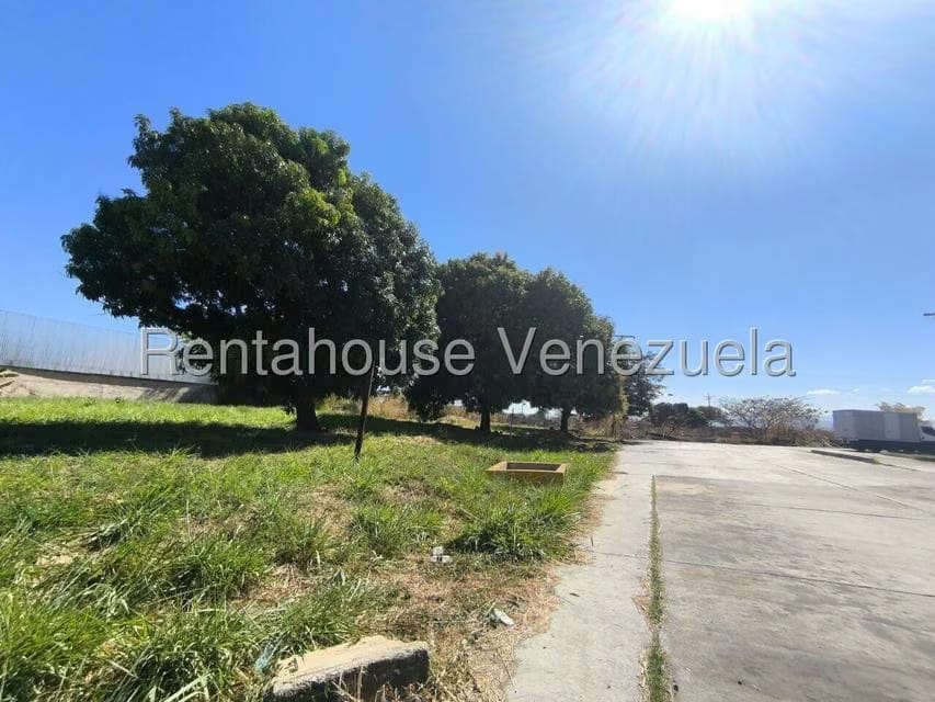 Terreno (Comercial) en Alquiler en La Isabelica, Carabobo - 6
