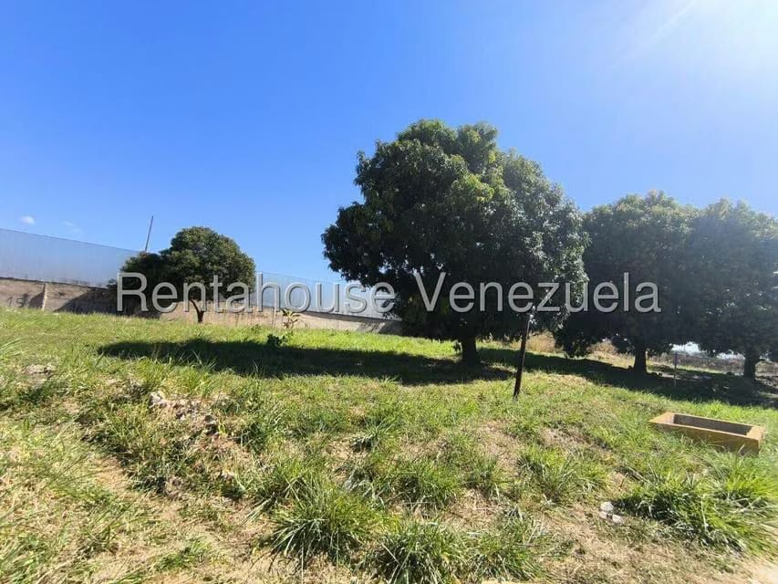 Terreno (Comercial) en Alquiler en La Isabelica, Carabobo - 7