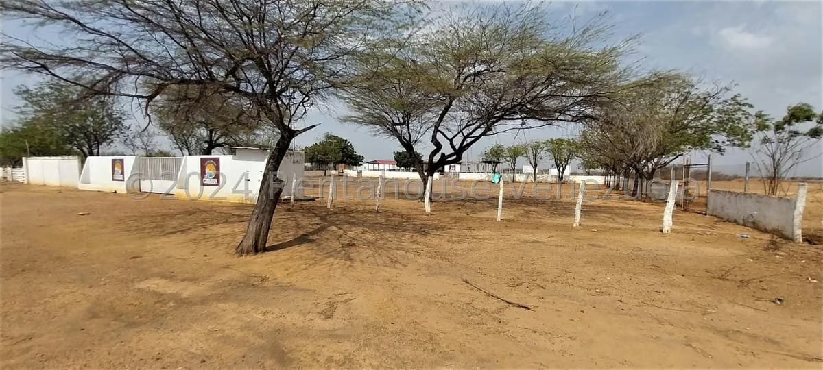 Comercial (Local Comercial) en Venta en Dabajuro, Falcon - 11