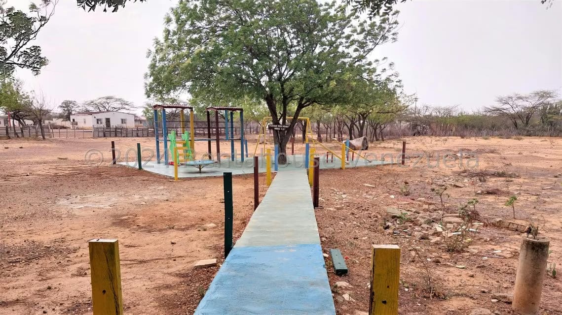 Comercial (Local Comercial) en Venta en Dabajuro, Falcon - 12