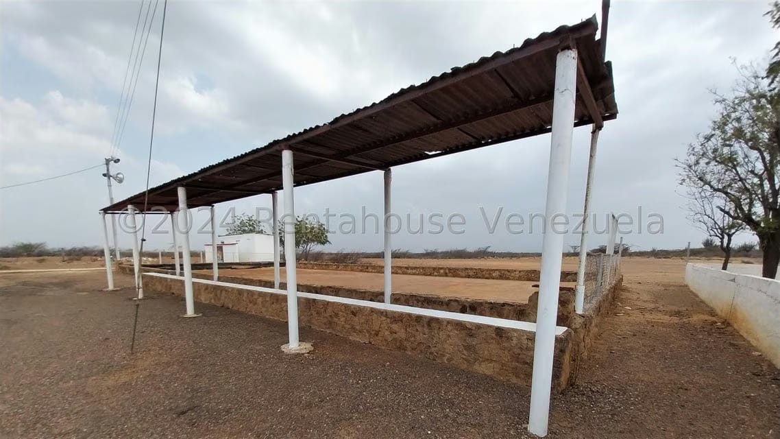 Comercial (Local Comercial) en Venta en Dabajuro, Falcon - 38