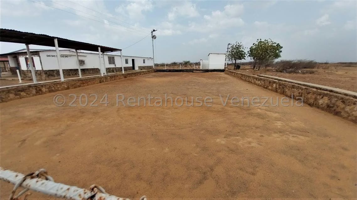 Comercial (Local Comercial) en Venta en Dabajuro, Falcon - 39