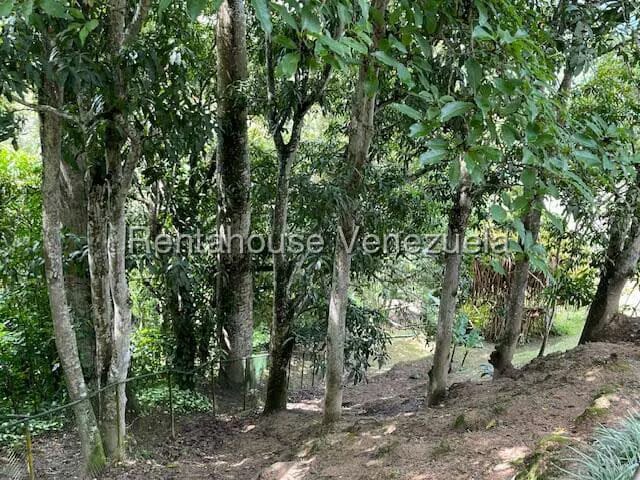 Casa (Multipes Niveles) en Venta en Karimao Country, Distrito Metropolitano - 68