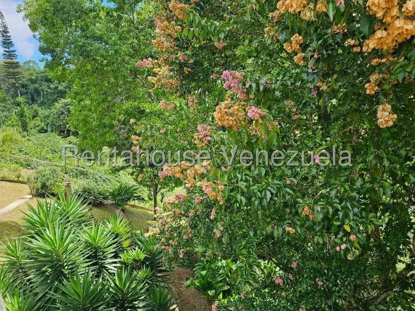 Casa (Contemporaneo) en Venta en La Lagunita Country Club, Distrito Metropolitano - 60