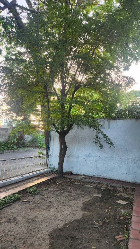 CASA para remodelar en Urbanización Santa Cecilia - 12
