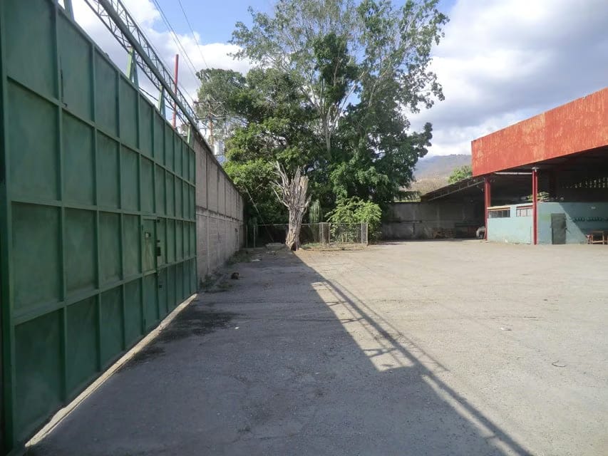 Comercial (Galpon - Deposito) en Venta en Terrinca, Miranda - 14