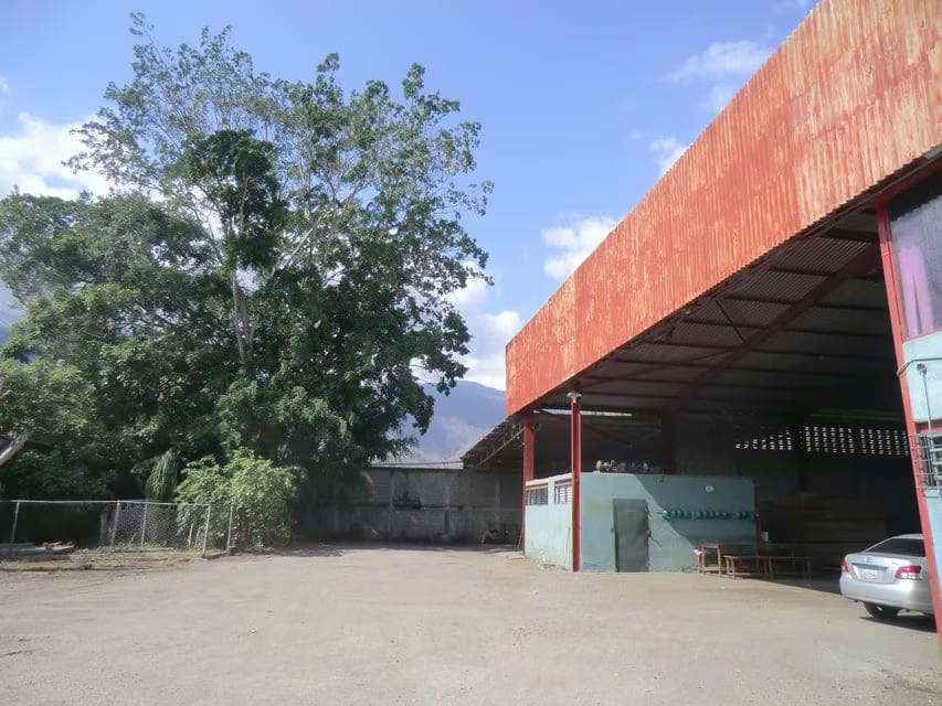 Comercial (Galpon - Deposito) en Venta en Terrinca, Miranda - 23
