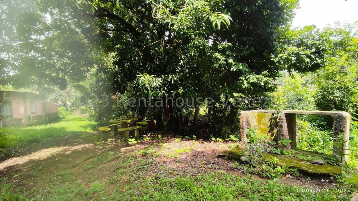 Terreno (Finca) en Venta en Banco Bonito, Cojedes - 12