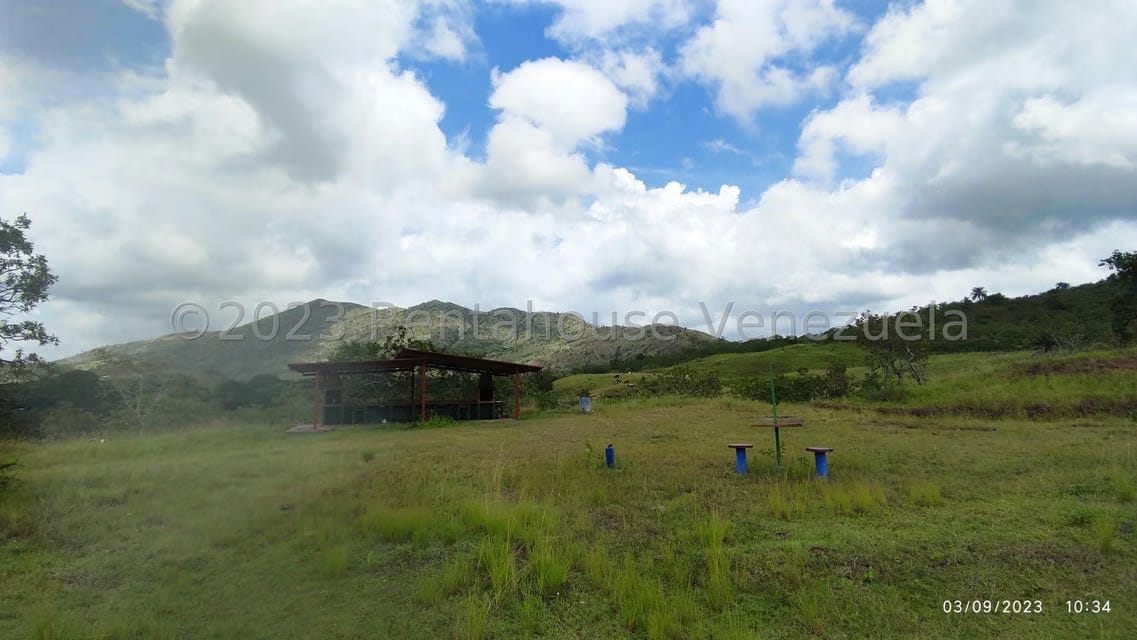 Terreno (Finca) en Venta en Banco Bonito, Cojedes - 8