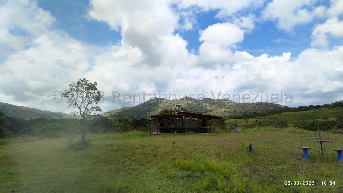 Terreno (Finca) en Venta en Banco Bonito, Cojedes - 9