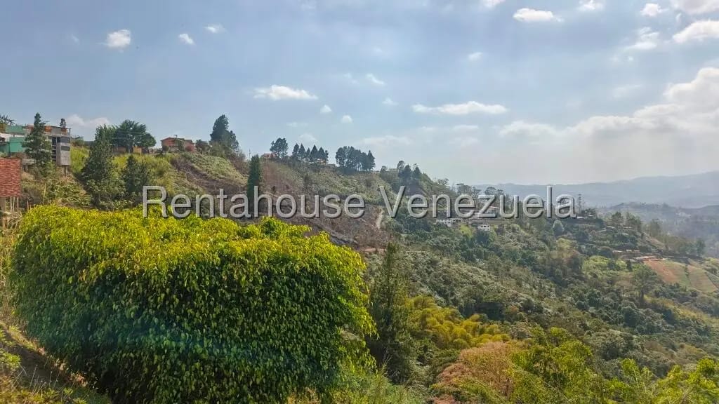 Casa (Duplex) en Venta en Club de Campo, Miranda - 31