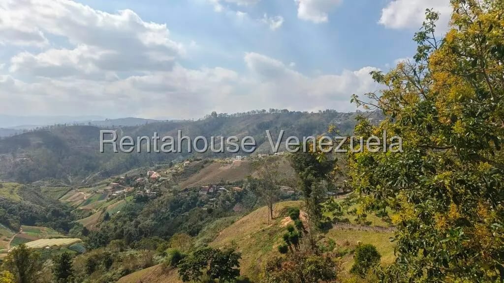 Casa (Duplex) en Venta en Club de Campo, Miranda - 33