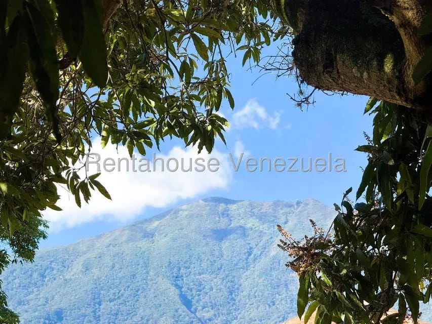 Casa (Duplex) en Venta en Lomas del Mirador, Distrito Metropolitano - 50