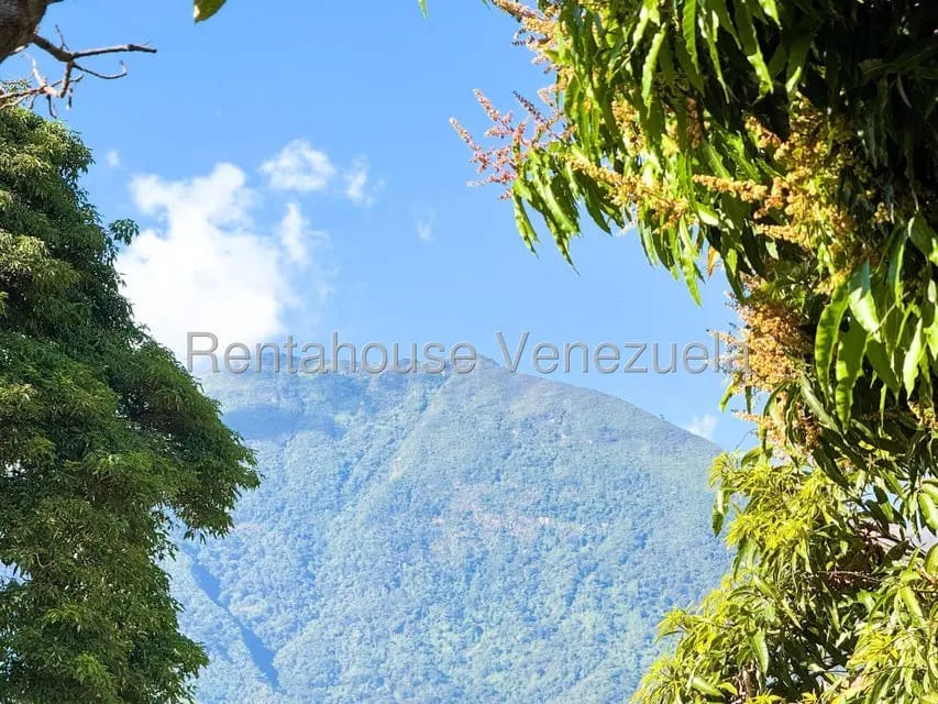 Casa (Duplex) en Venta en Lomas del Mirador, Distrito Metropolitano - 51