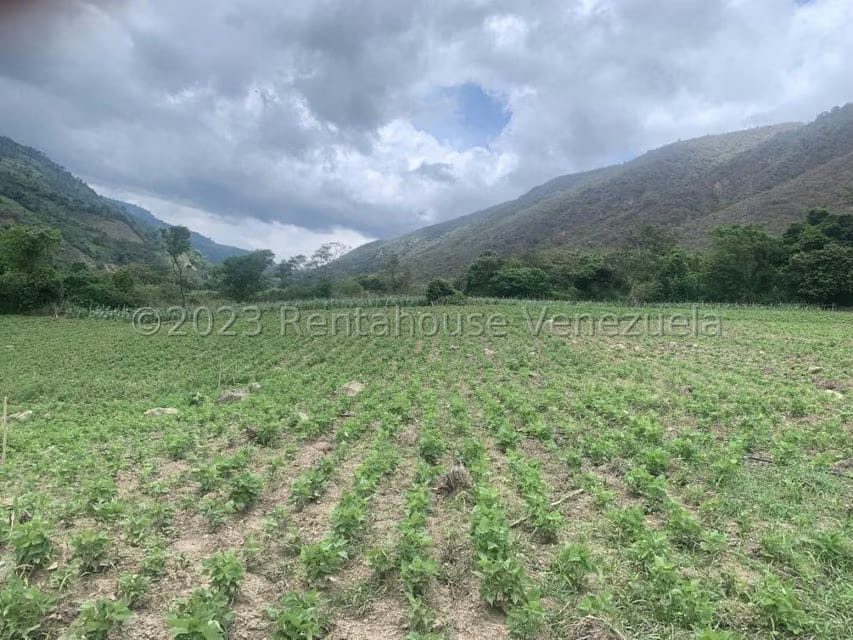 Terreno (Finca) en Venta en Sector El Anis, Merida