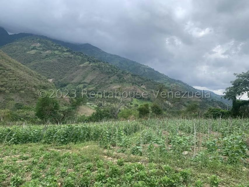 Terreno (Finca) en Venta en Sector El Anis, Merida - 3