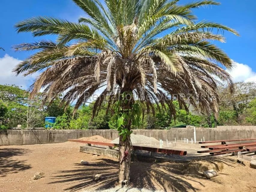 Terreno (Residencial) en Venta en La Asuncion, Nueva Esparta - 2