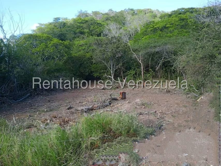 Terreno (Residencial) en Venta en Guatamare, Nueva Esparta - 3
