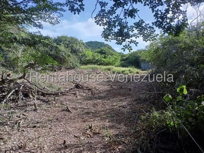 Terreno (Residencial) en Venta en Guatamare, Nueva Esparta - 4